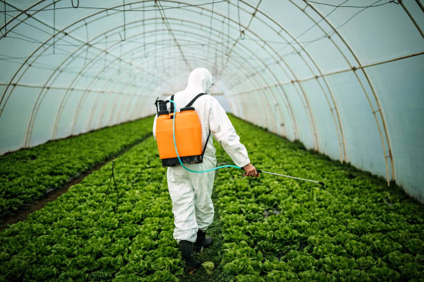 Best Affordable Pest Control Services  in Shrewsbury, MO