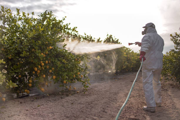 Best Pest Prevention Services  in Shrewsbury, MO