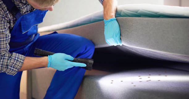 Best Bed Bug Extermination  in Shrewsbury, MO