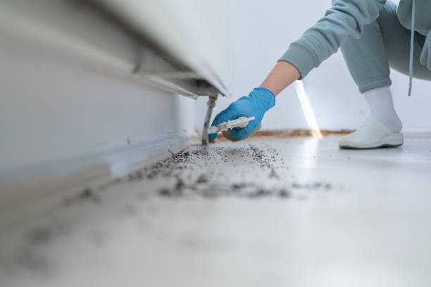 Best Pest Removal Services  in Shrewsbury, MO
