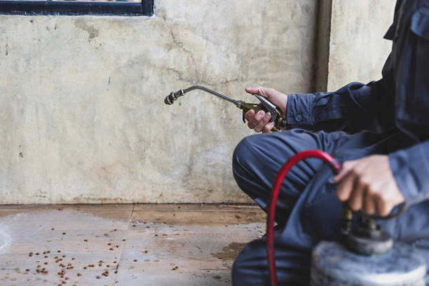 Best Commercial Pest Control Services  in Shrewsbury, MO